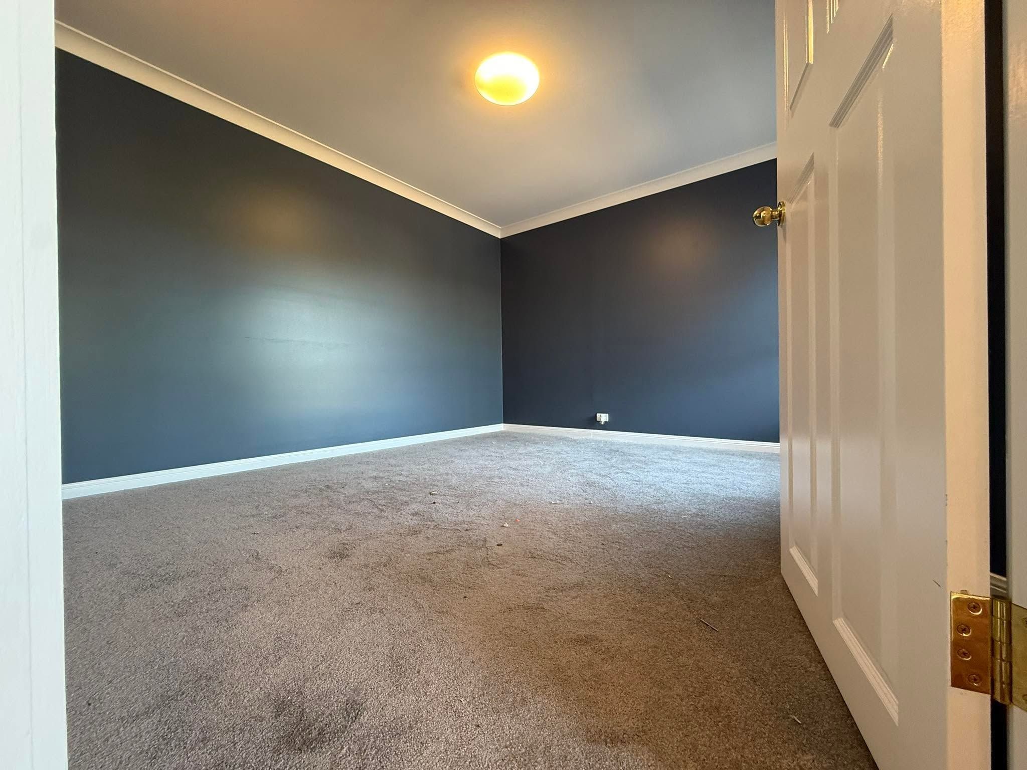 Bedroom with a navy feature wall
